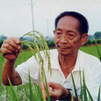 “杂交水稻之父”袁隆平获改革先锋称号 却笑称“学农是意外”