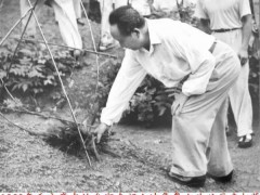 毛主席时隔32年重回韶山，毛主席给父母扫墓,向父母墓地三鞠躬